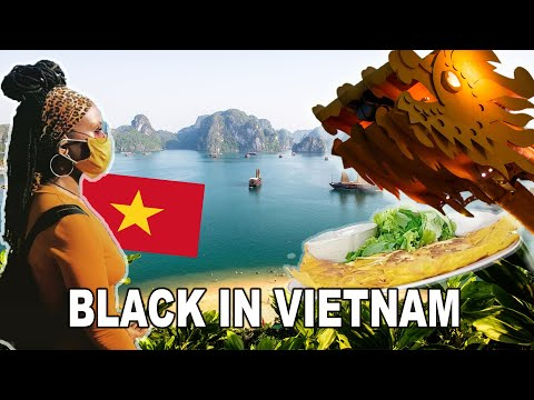 Sự Bùng Nổ Của Video Ngắn và Trí Tuệ Nhân Tạo: Vai Trò Thiết Yếu Của Đào Tạo Kỹ Năng Sáng Tạo Nội Dung_cách làm video lan truyền
