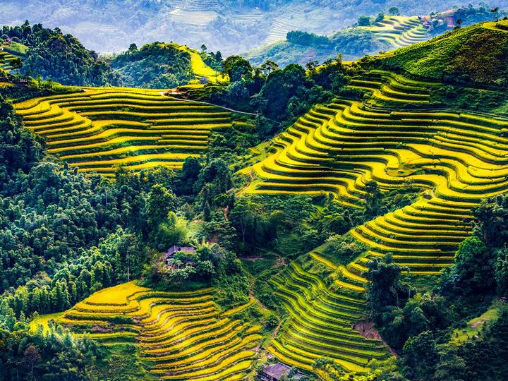 Hotspot Matrix: Biến Cơ hội học bổng “khủng” lên thành cơ hội marketing đột phá